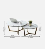 Marble Top Nesting Coffee Table Set In Gold Colour (Set of 2) - Image 4