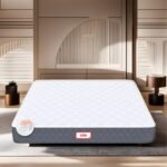 Twin Plus 5-Zone I-shape Tech Queen Size Mattress